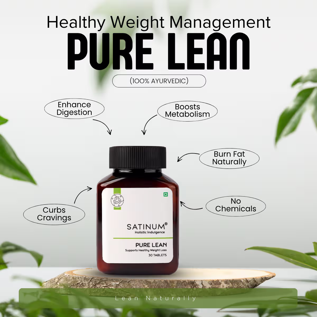 Pure Lean